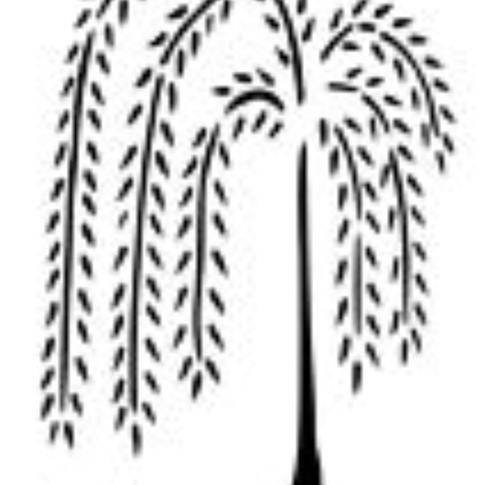 Meet your Posher, Medora